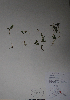  ( - BAB-3861)  @11 [ ] Unspecified (default): All Rights Reserved  Unspecified Unspecified