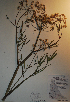  ( - BAB-4430)  @11 [ ] Unspecified (default): All Rights Reserved  Unspecified Unspecified