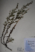  ( - BAB-5449)  @11 [ ] Unspecified (default): All Rights Reserved  Unspecified Unspecified