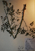  ( - BAB-6074)  @11 [ ] Unspecified (default): All Rights Reserved  Unspecified Unspecified
