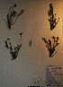  ( - BAB-6089)  @11 [ ] Unspecified (default): All Rights Reserved  Unspecified Unspecified