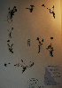  ( - BAB-6124)  @11 [ ] Unspecified (default): All Rights Reserved  Unspecified Unspecified