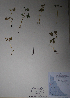  ( - BAB-6127)  @11 [ ] Unspecified (default): All Rights Reserved  Unspecified Unspecified