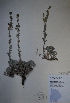  ( - BAB-6416)  @13 [ ] Unspecified (default): All Rights Reserved  Unspecified Unspecified