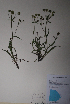  ( - BAB-6420)  @11 [ ] Unspecified (default): All Rights Reserved  Unspecified Unspecified