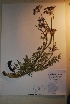  ( - BAB-6677)  @11 [ ] Unspecified (default): All Rights Reserved  Unspecified Unspecified