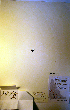  ( - CCDB-18357-C2)  @11 [ ] CreativeCommons - Attribution (2014) Unspecified Unspecified