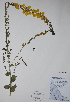  ( - CCDB-18357-D12)  @11 [ ] CreativeCommons - Attribution (2014) Unspecified Unspecified