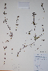  ( - CCDB-18357-E10)  @11 [ ] CreativeCommons - Attribution (2014) Unspecified Unspecified
