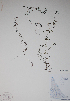  ( - CCDB-18357-E11)  @11 [ ] CreativeCommons - Attribution (2014) Unspecified Unspecified