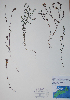  ( - CCDB-18358-C5)  @11 [ ] CreativeCommons - Attribution (2014) Unspecified Unspecified