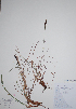  ( - CCDB-21230-A10)  @11 [ ] CreativeCommons - Attribution (2014) Unspecified Unspecified