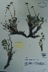 ( - CCDB-21230-B01)  @11 [ ] CreativeCommons - Attribution (2014) Unspecified Unspecified