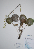  ( - CCDB-21230-B07)  @11 [ ] CreativeCommons - Attribution (2014) Unspecified Unspecified