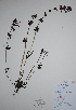  ( - CCDB-21230-B10)  @11 [ ] CreativeCommons - Attribution (2014) Unspecified Unspecified