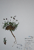  ( - CCDB-21230-C06)  @11 [ ] CreativeCommons - Attribution (2014) Unspecified Unspecified