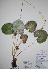  ( - CCDB-21230-C07)  @11 [ ] CreativeCommons - Attribution (2014) Unspecified Unspecified