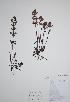  ( - CCDB-21230-C10)  @11 [ ] CreativeCommons - Attribution (2014) Unspecified Unspecified