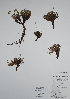  ( - CCDB-21230-D06)  @11 [ ] CreativeCommons - Attribution (2014) Unspecified Unspecified