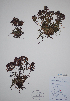  ( - CCDB-21230-D10)  @11 [ ] CreativeCommons - Attribution (2014) Unspecified Unspecified