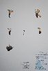  ( - CCDB-21230-D12)  @11 [ ] CreativeCommons - Attribution (2014) Unspecified Unspecified