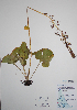  ( - CCDB-21230-E06)  @11 [ ] CreativeCommons - Attribution (2014) Unspecified Unspecified