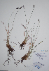  ( - CCDB-21230-E10)  @11 [ ] CreativeCommons - Attribution (2014) Unspecified Unspecified