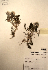  ( - CCDB-21230-F03)  @11 [ ] CreativeCommons - Attribution (2014) Unspecified Unspecified