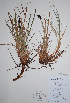  ( - CCDB-21230-F10)  @11 [ ] CreativeCommons - Attribution (2014) Unspecified Unspecified