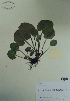  ( - CCDB-21230-G01)  @11 [ ] CreativeCommons - Attribution (2014) Unspecified Unspecified