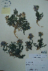  ( - CCDB-21230-G03)  @11 [ ] CreativeCommons - Attribution (2014) Unspecified Unspecified