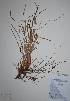  ( - CCDB-21230-G12)  @11 [ ] CreativeCommons - Attribution (2014) Unspecified Unspecified