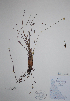  ( - CCDB-21230-H12)  @11 [ ] CreativeCommons - Attribution (2014) Unspecified Unspecified