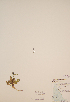  ( - CCDB-23321-A02)  @11 [ ] CreativeCommons - Attribution (2016) Unspecified Unspecified