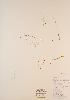  ( - CCDB-23321-G08)  @11 [ ] CreativeCommons - Attribution (2016) Unspecified Unspecified