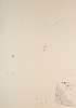  ( - CCDB-23321-G09)  @11 [ ] CreativeCommons - Attribution (2016) Unspecified Unspecified