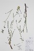  ( - BABY-10897)  @11 [ ] CreativeCommons - Attribution (2019) Unspecified Unspecified