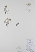  ( - BABY-10546)  @11 [ ] CreativeCommons - Attribution (2019) Unspecified Unspecified