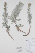  ( - BABY-09799)  @11 [ ] CreativeCommons - Attribution (2019) Unspecified Unspecified