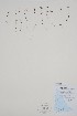  ( - CCDB-25866-D2)  @11 [ ] by (2022) Unspecified B.A. Bennett Herbarium (BABY)