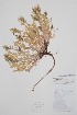  ( - BABY-01627)  @11 [ ] CreativeCommons - Attribution (2019) Unspecified Unspecified