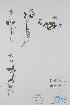  ( - BABY-10708)  @11 [ ] CreativeCommons - Attribution (2019) Unspecified Unspecified