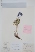  ( - BABY-08522)  @11 [ ] CreativeCommons - Attribution (2019) Unspecified Unspecified