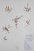  ( - BABY-03319)  @11 [ ] CreativeCommons - Attribution (2019) Unspecified Unspecified