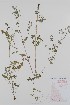  ( - BABY-01381)  @11 [ ] CreativeCommons - Attribution (2019) Unspecified Unspecified