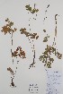  ( - BABY-10237)  @11 [ ] CreativeCommons - Attribution (2019) Unspecified Unspecified
