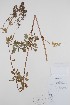  ( - BABY-06912)  @11 [ ] CreativeCommons - Attribution (2019) Unspecified Unspecified