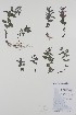  ( - BABY-05040)  @11 [ ] CreativeCommons - Attribution (2019) Unspecified Unspecified