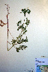  ( - CCDB-18321-H2)  @11 [ ] CreativeCommons - Attribution Non-Commercial Share-Alike (2012) CBG Photography Group Unspecified
