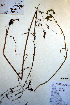  ( - CCDB-18321-E3)  @11 [ ] CreativeCommons - Attribution Non-Commercial Share-Alike (2012) CBG Photography Group Unspecified